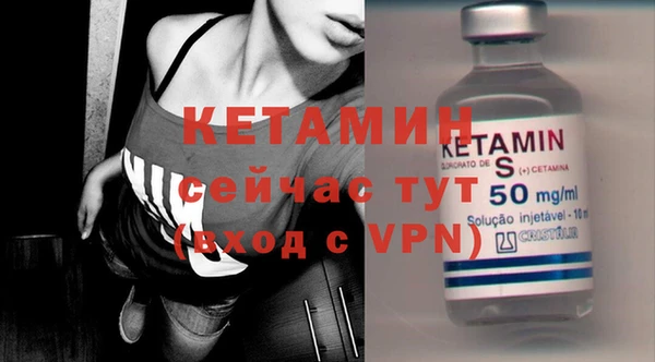 крисы Корсаков