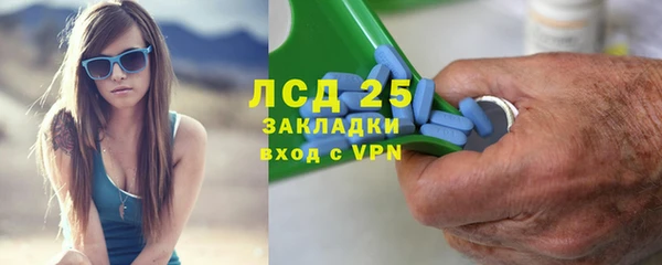 крисы Корсаков