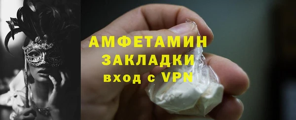 крисы Корсаков