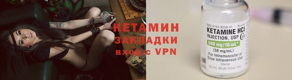 крисы Корсаков