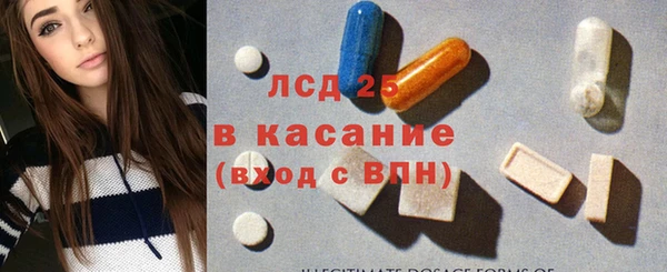 прущие грибы Козельск