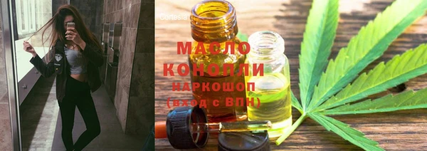 крисы Корсаков