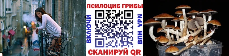 Псилоцибиновые грибы мухоморы Конаково