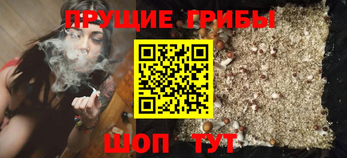 Галлюциногенные грибы мухоморы  где продают   Конаково 