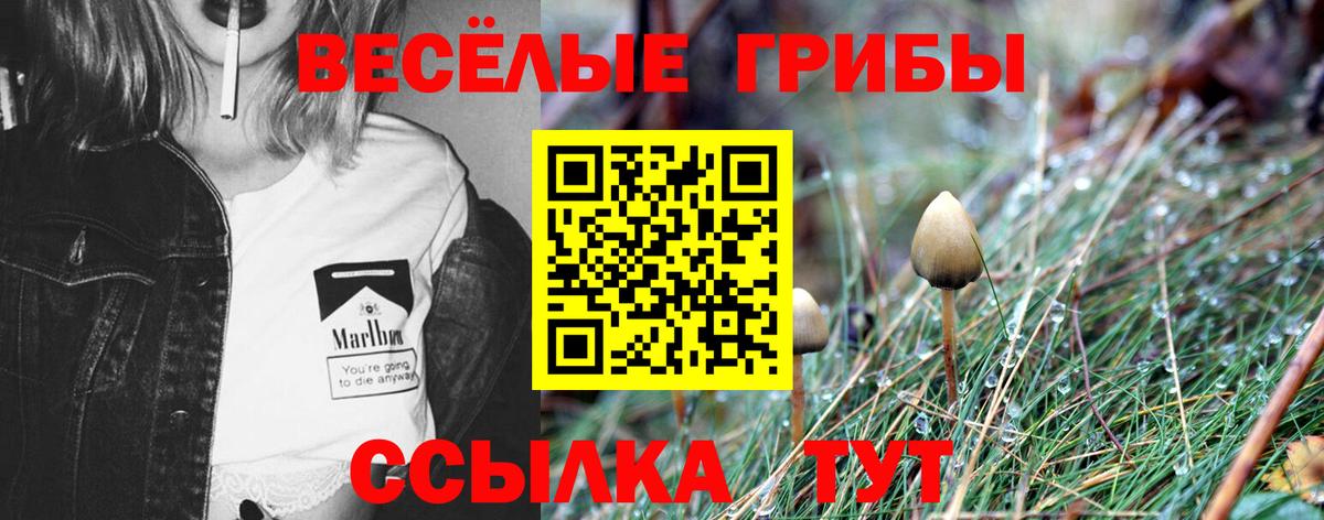 Галлюциногенные грибы Magic Shrooms  Псилоцибиновые грибы MAGIC MUSHROOMS  Вход с VPN  Конаково 